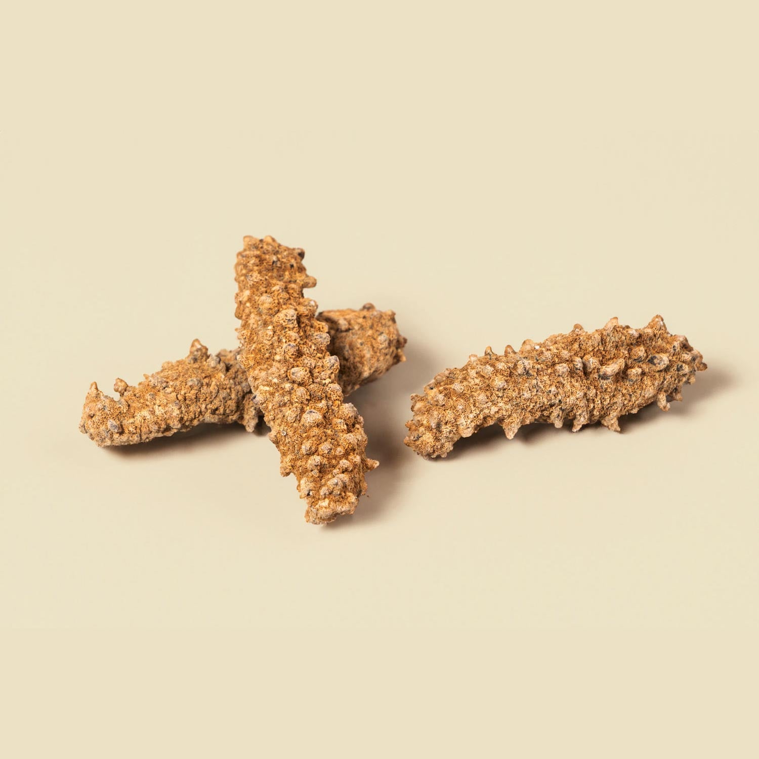 Hauora® Pure Dried Wild New Zealand Sea Cucumber 70/90